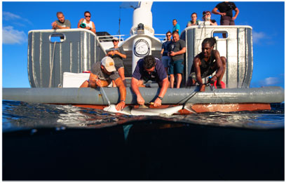 launching-pic